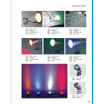 Modern LED Decorative Spotlight